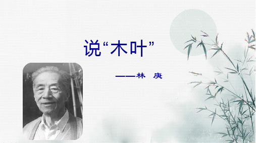 统编版新教材《说“木叶”》优质课件1(共25张PPT)