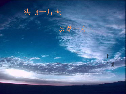 外国诗两首《祖国》《黑人谈河流》 (2)