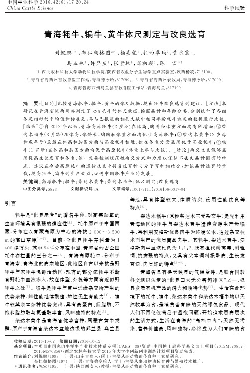 青海牦牛、犏牛、黄牛体尺测定与改良选育