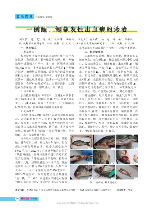一例鲤、鲫暴发性出血病的诊治
