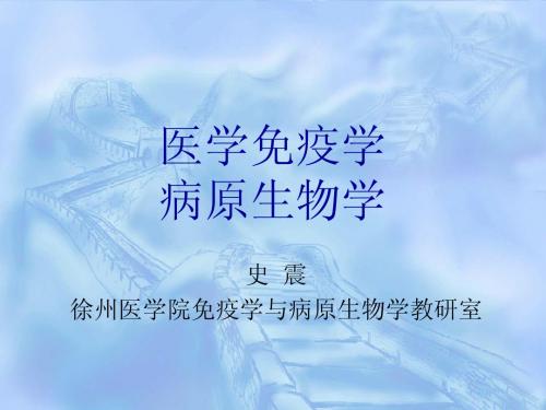 免疫学概论 免疫器官