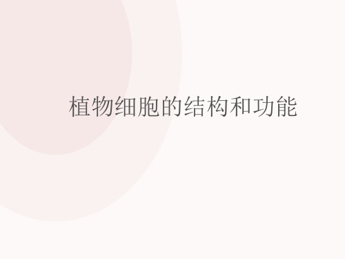 植物细胞的结构和功能课件 ppt课件