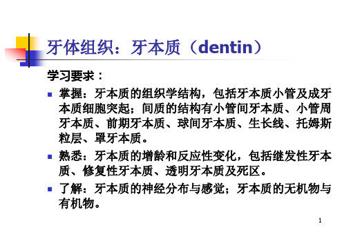 第三章 牙体组织2