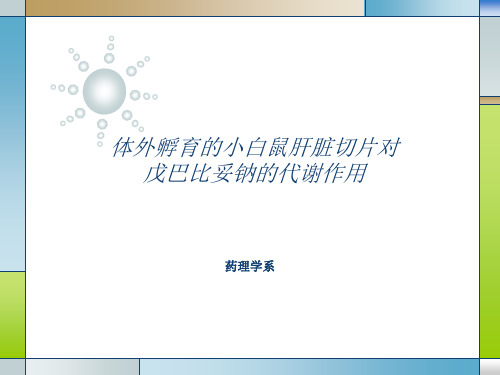 体外孵育的小白鼠肝脏切片对戊巴比妥钠的代谢作用解读