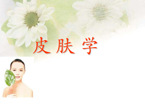 皮肤生理学新