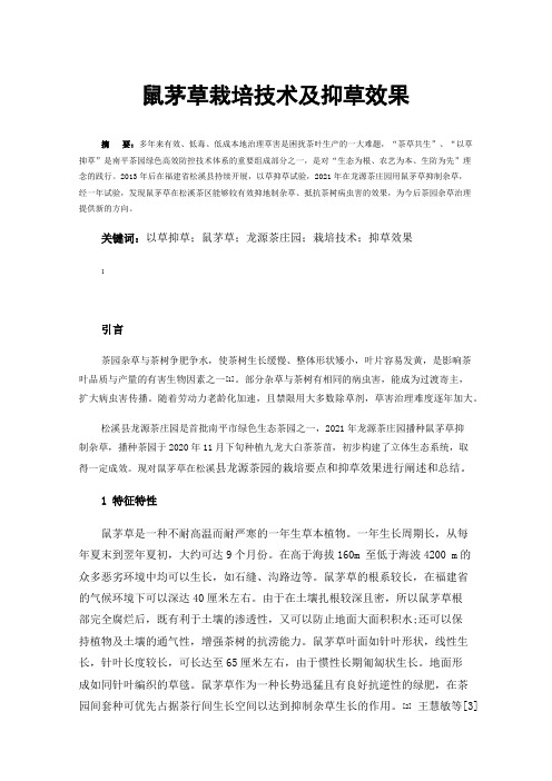 鼠茅草栽培技术及抑草效果