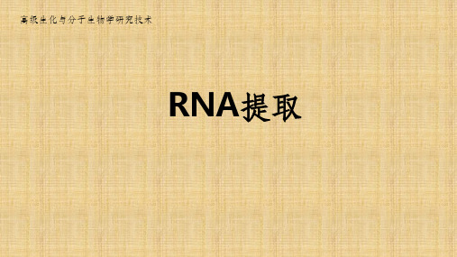 RNA提取详细步骤及注意事项