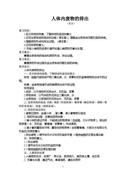 排泄系统教案