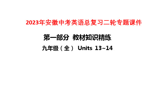 2023年安徽中考英语总复习二轮专题课件：九年级(全) Units 13~14
