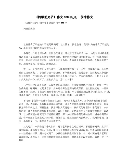 《闪耀的光芒》作文800字_初三优秀作文