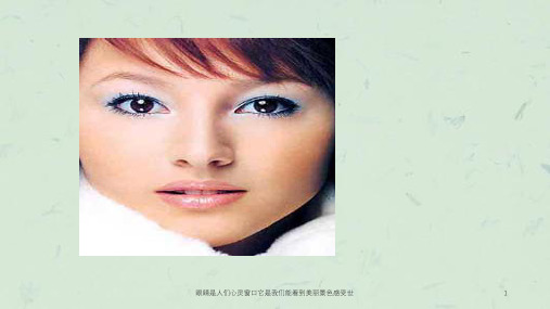 眼睛是人们心灵窗口它是我们能看到美丽景色感受世课件
