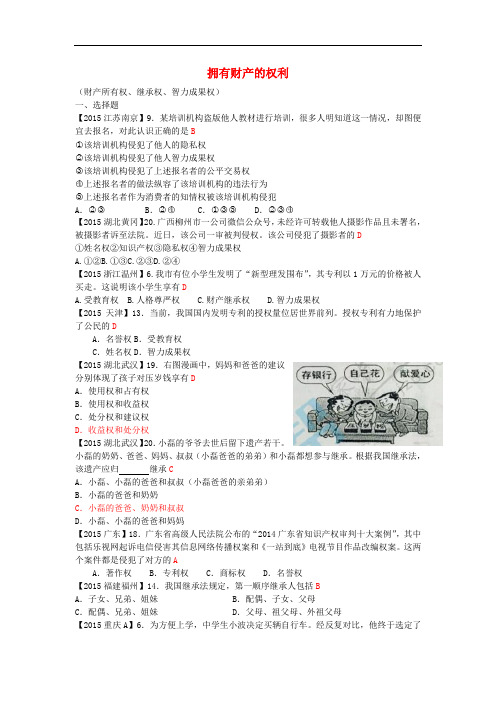 中考政治 专题复习十八 拥有财产的权利