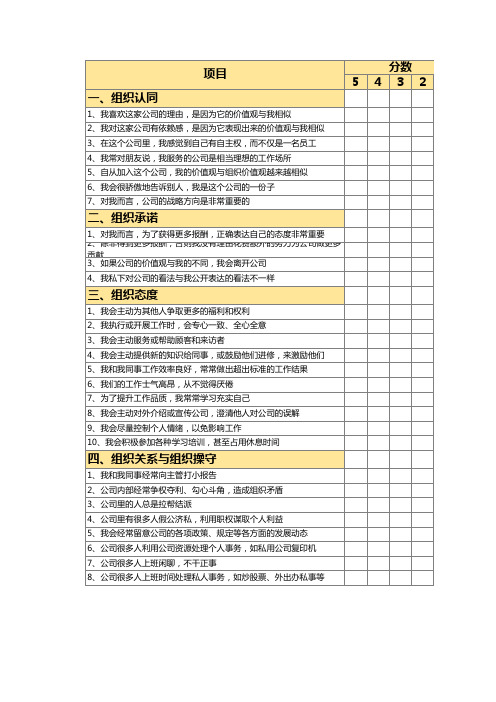 企业文化价值观诊断量表