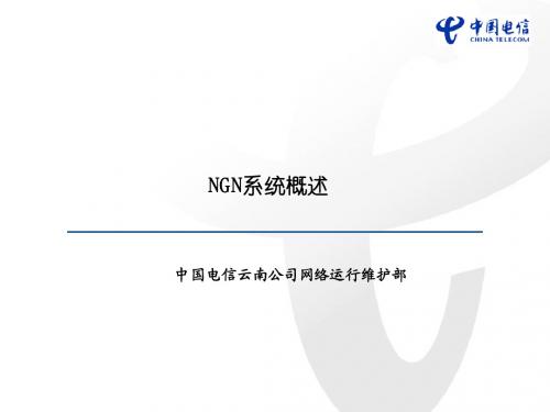 2-NGN系统概述