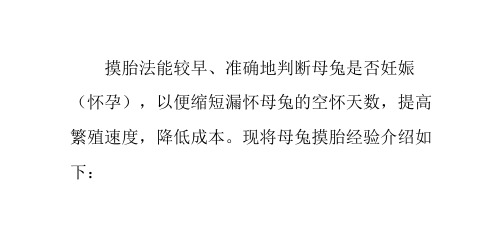 母兔实用妊娠判断法——摸胎