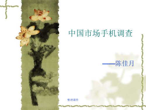 《中国市场手机调查》