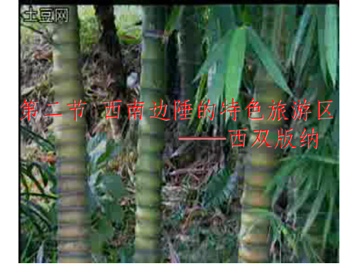 新课标人教版初中地理八年级下册七章 第二节 《西南边陲的特色旅游区──西双版纳》