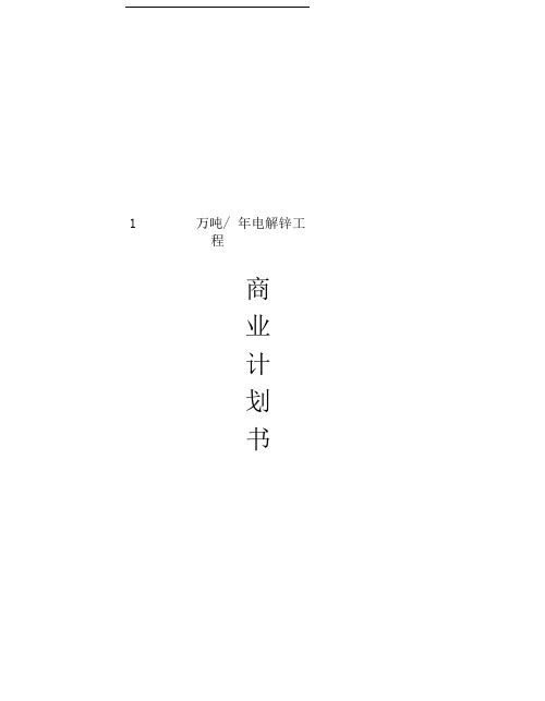 01-1万吨／年电解锌工程商业计划书