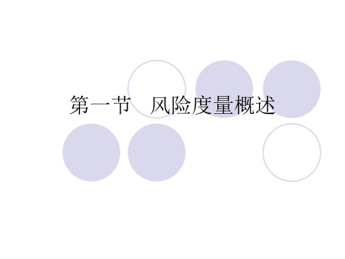 第一章风险度量解读
