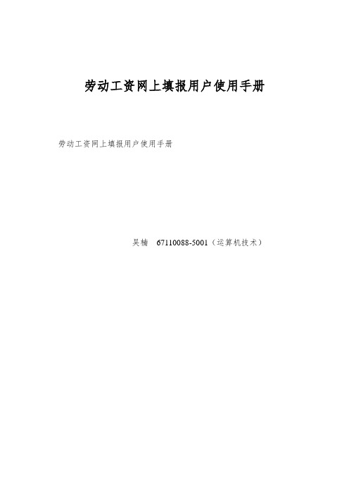 劳动工资网上填报用户使用手册