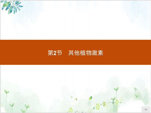 [人教版]《其他植物激素》优质课件1