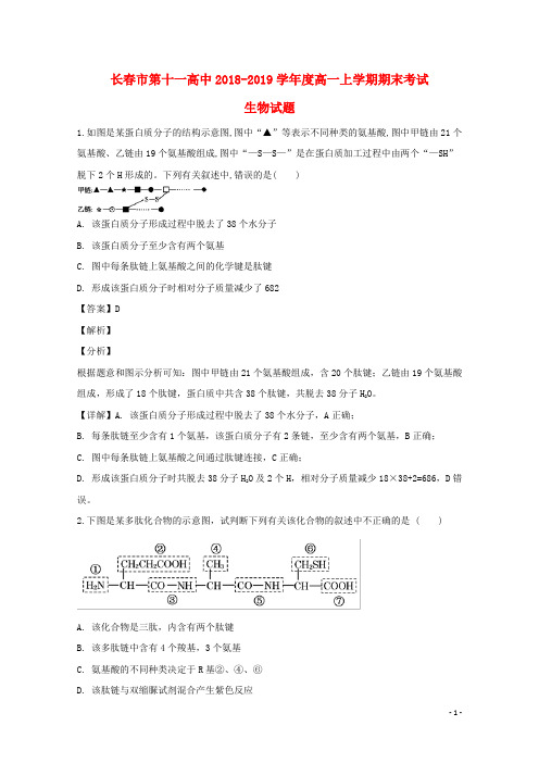 吉林省长春市第十一高中2018_2019学年高一生物上学期期末考试试题(含解析)