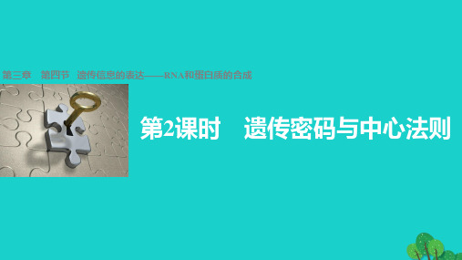 第三章 第四节   遗传信息的表达——RNA和蛋白质的合成 第2课时 遗传密码与中心法则