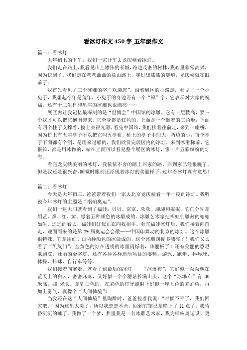 看冰灯作文450字_五年级作文