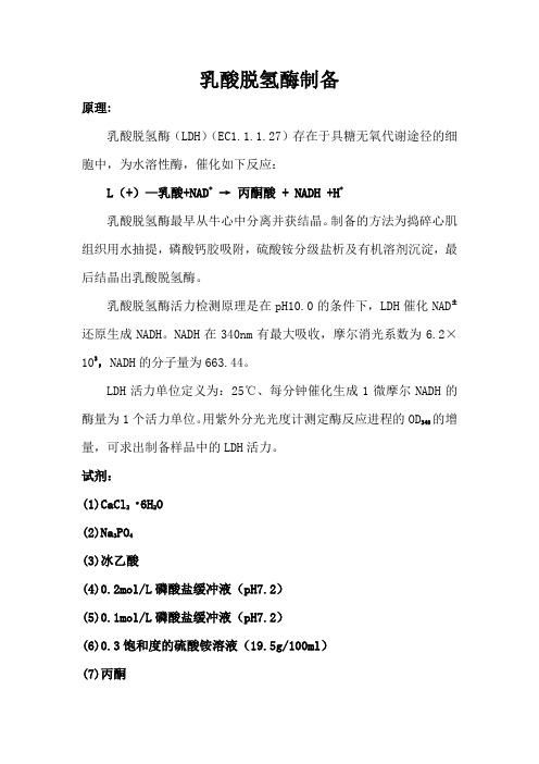 乳酸脱氢酶制备
