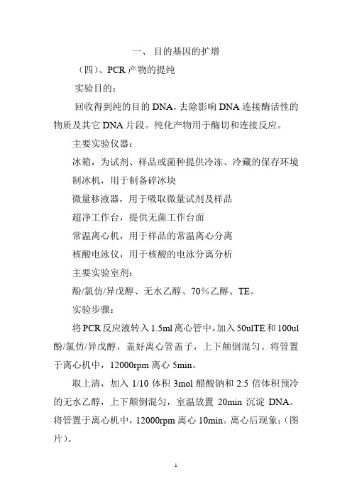 1.4 胶回收PCR产物(纯化)