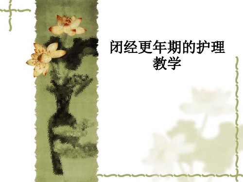 闭经更年期的护理ppt课件