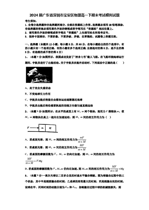 2024届广东省深圳市宝安区物理高一下期末考试模拟试题含解析