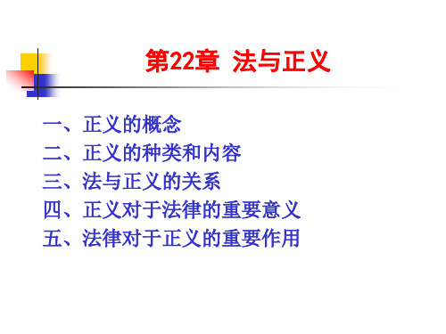第22章 法与正义