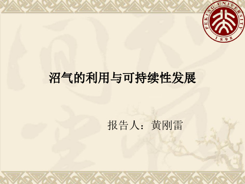 沼气的利用与可持续发展
