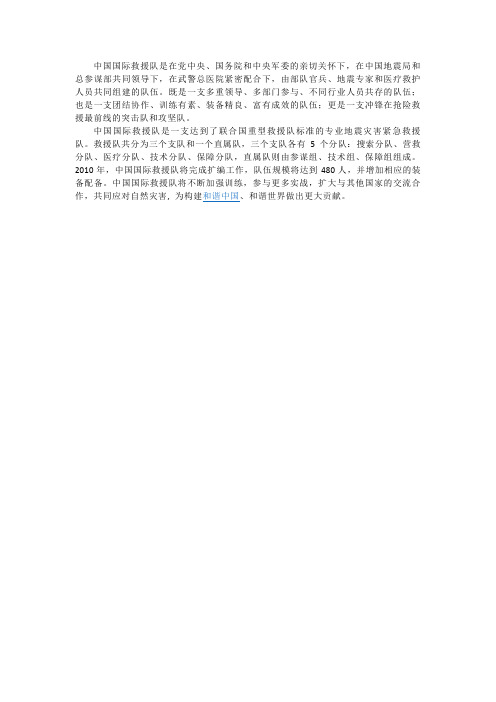 中国国际救援队资料1