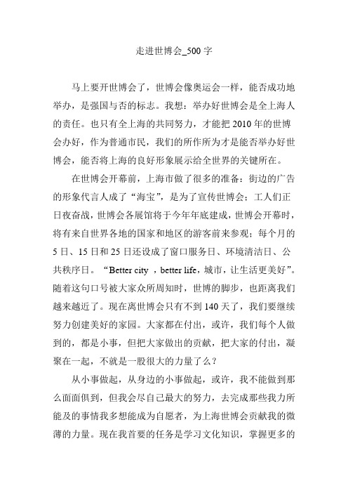 走进世博会_500字