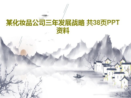 某化妆品公司三年发展战略 共38页PPT资料共40页文档