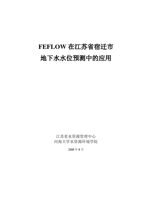 FEFLOW应用报告(06-09-28)