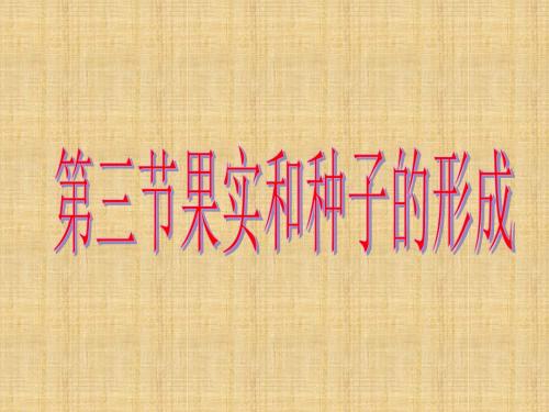 果实和种子的形成 课件课件