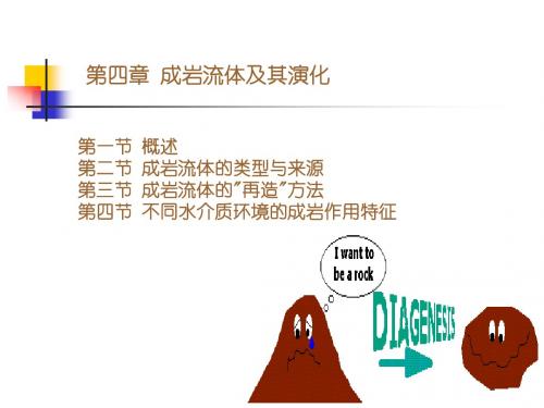第四章 成岩流体及其演化
