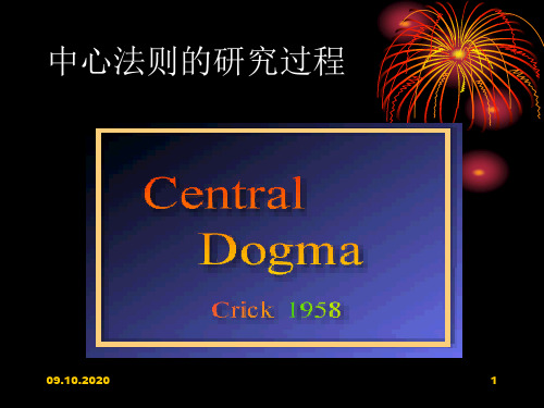 分子生物学原理--DNA的生物合成演示课件