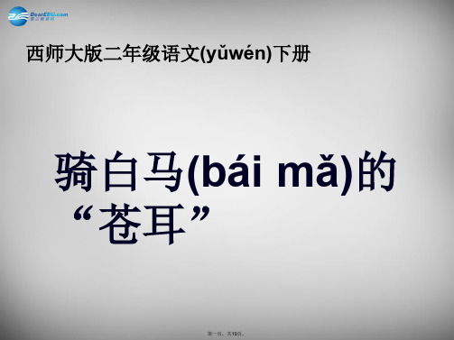 二年级语文下册 第六单元《骑“白马”的苍耳》课件6 西师大版