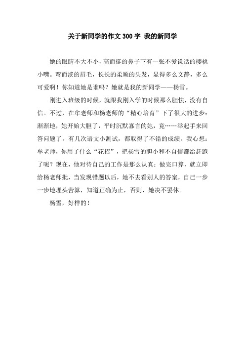 关于新同学的作文300字 我的新同学