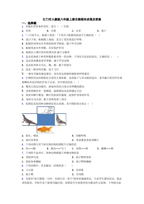 江门市人教版八年级上册生物期末试卷及答案