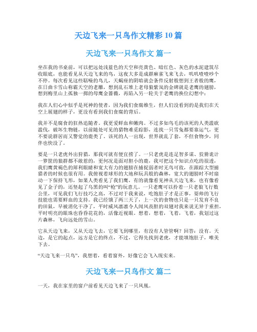 天边飞来一只鸟作文精彩10篇