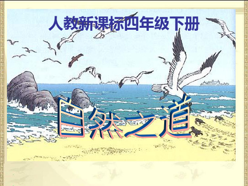 人教新课标四年级语文下册《自然之道》PPT课件(