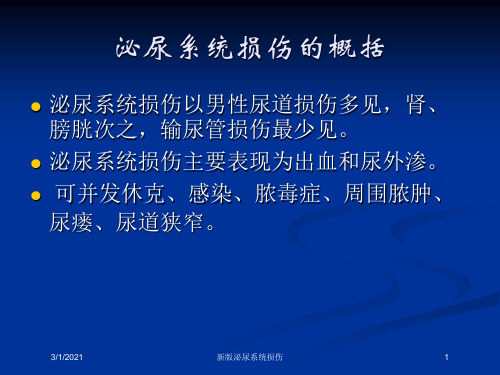 新版泌尿系统损伤培训课件
