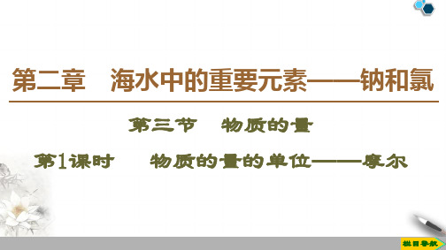 2019-2020高中人教版化学必修1 第2章 第3节 第1课时  物质的量的单位——摩尔课件PPT