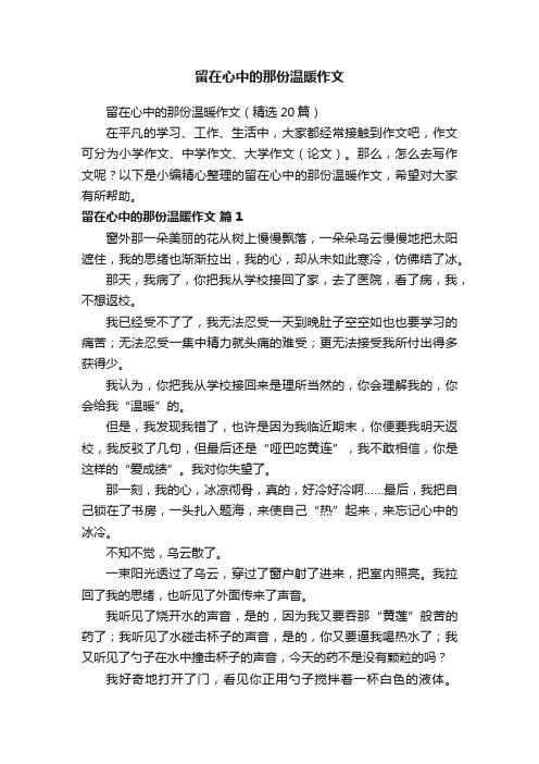 留在心中的那份温暖作文（精选20篇）