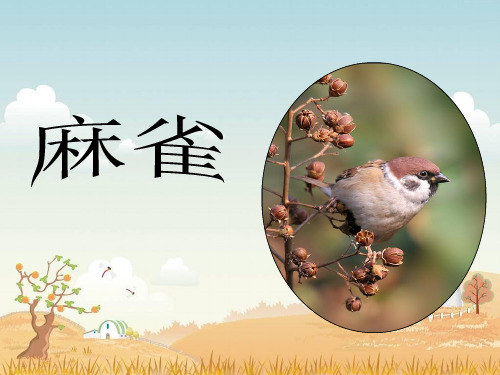 语文S版语文四年级上册第13课《麻雀》ppt课件1